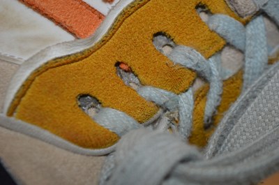 chaussure 6