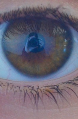 oeil 3